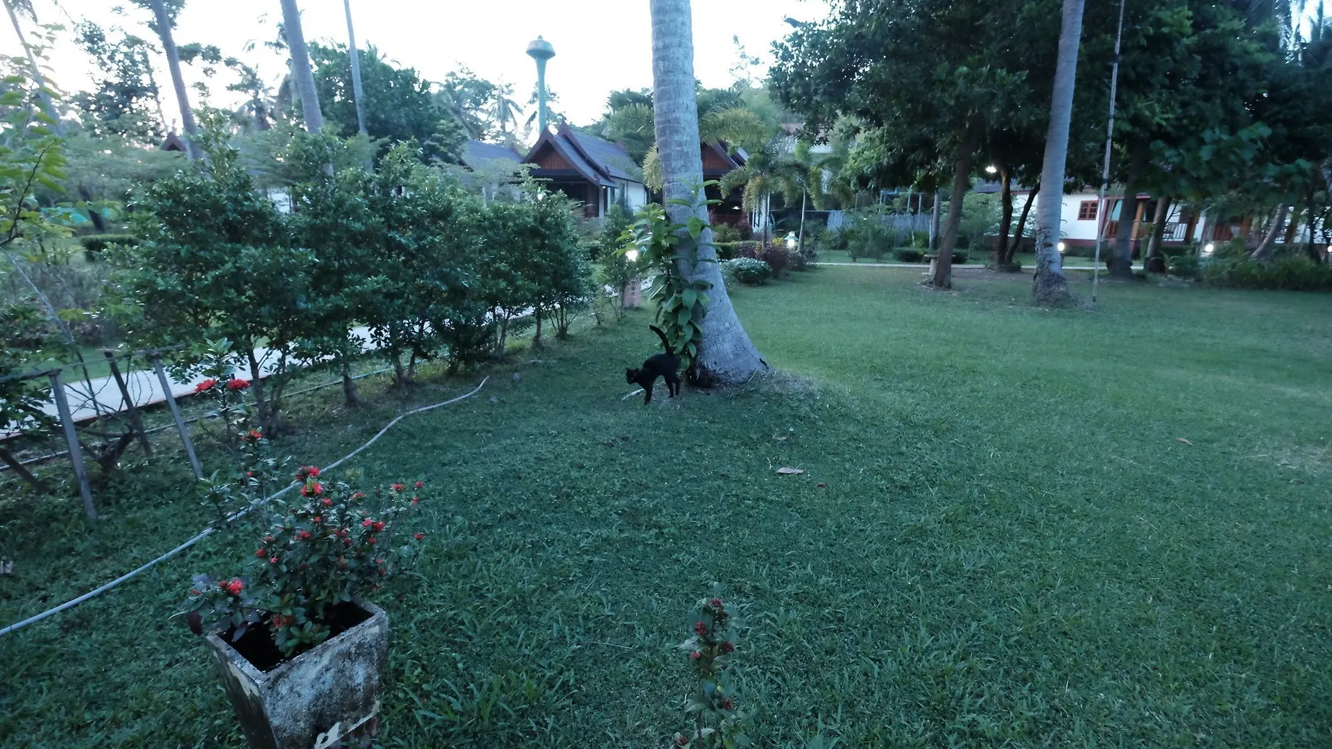 Rasa Sayang Resort - Sha Certificate Ko Lanta